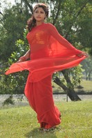Mona Saree Photos